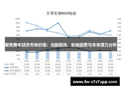 聚焦青年球员市场价值:当前趋势、影响因素与未来潜力分析 聚焦青年球员市场价值:当前趋势、影响因素与未来潜力分析