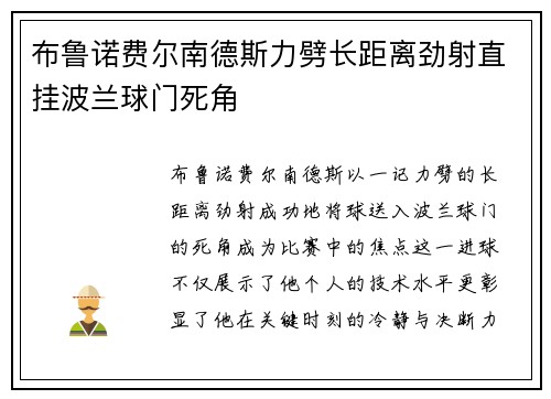 布鲁诺费尔南德斯力劈长距离劲射直挂波兰球门死角